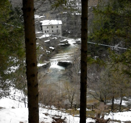 P1000249.JPG