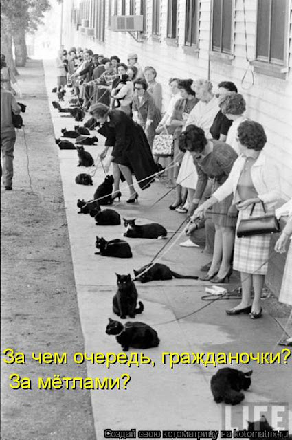 Ни дня без улыбки. Бывает, что крест, поставленный на человеке это его единственный плюс Ни дня без улыбки. Бывает, что крест, поставленный на человеке это его единственный плюс