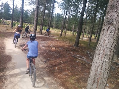 Photos of McLeans Forest