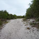 Sandy trail near the Awabakal Viewpoint (391760)