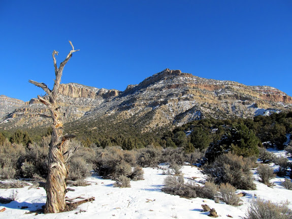 Beginning point of the hike