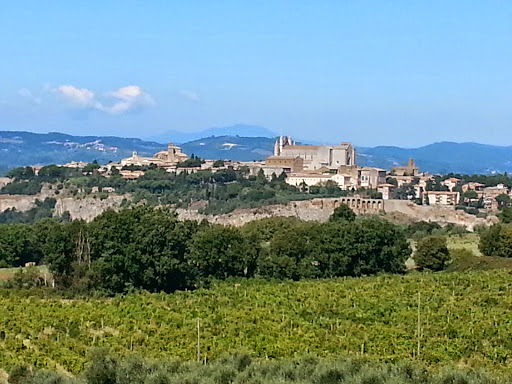 Main image of Tenuta Le Velette