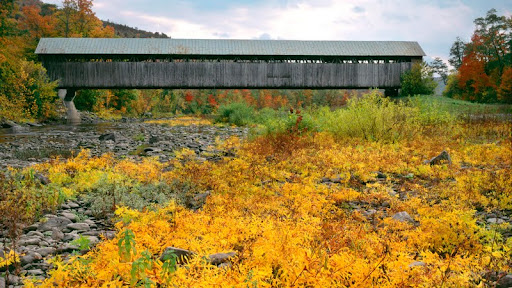 Covered Bridge at North Blenheim, Adirondack Park and Preserve, New York (2).jpg