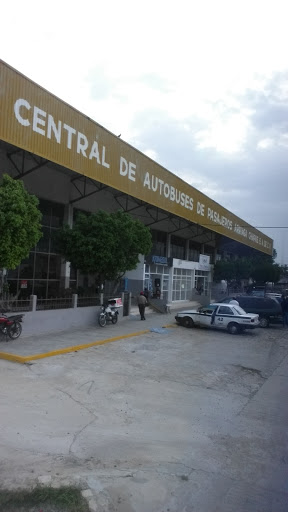 Central de Autobuses de Pasajeros Arriaga Chiapas, Quinta Avenida Ote., Las Almendritas, 30450 Arriaga, Chis., México, Parada de autobús | CHIS
