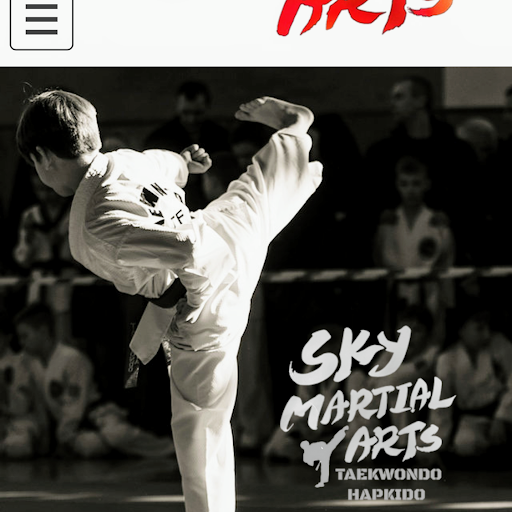 Sky Martial Arts L.A. logo