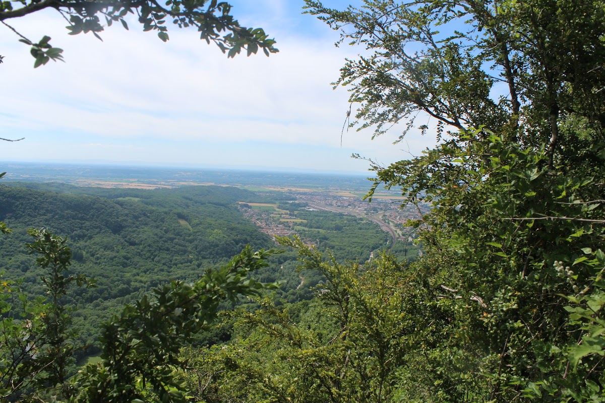 Torcieux - La Croix des moines - Les Moines - le près Charvet IMG_3368