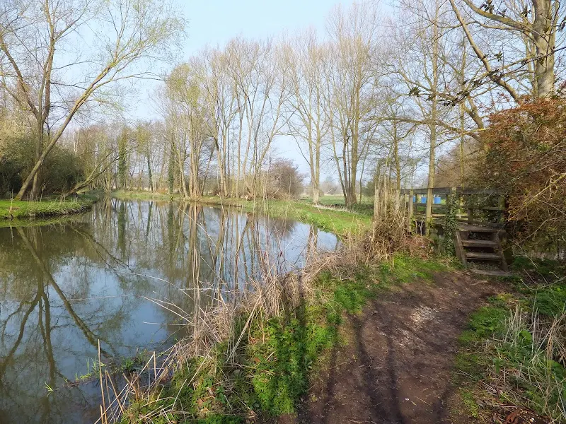 River Bure leaves Hautbois