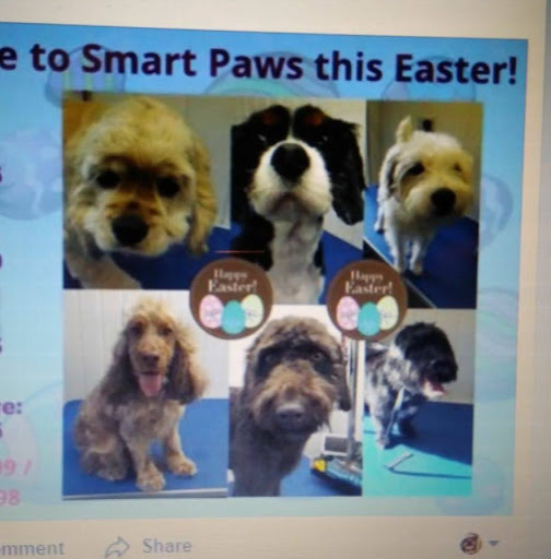 Smart Paws Dog Grooming logo