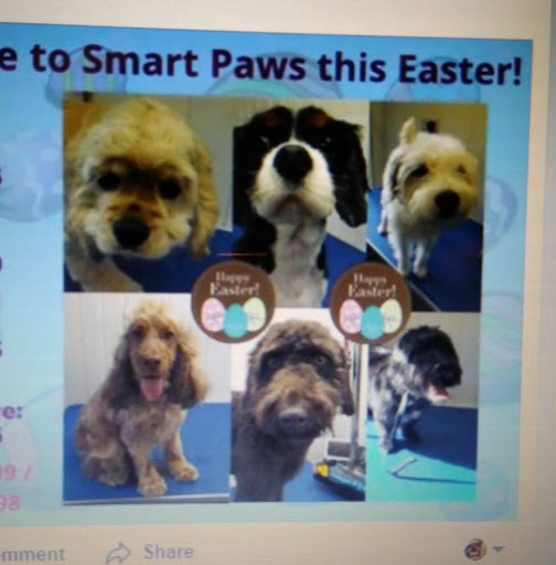 Smart Paws Dog Grooming