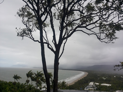 Trinity Bay Lookout