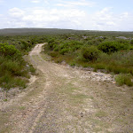 Mowlee Trail (34850)