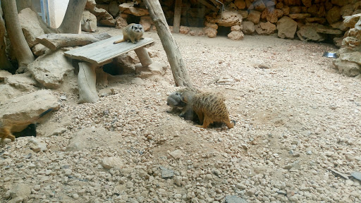 Zoologico Natura Parc