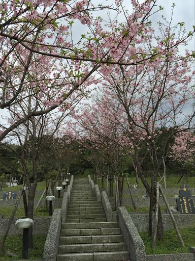 樱花陵园