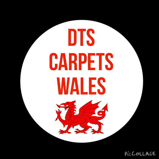 DTS Carpets wales logo