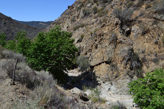 a small amount of water welling up in the creek bed