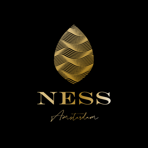 NESS Amsterdam logo