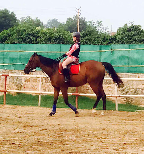 Adagio Riding Stables, Village Baliyawas, Opp. Teri gram, Gurgaon - Faridabad Road, Gurugram, Haryana 122001, India, Horse_Riding_School, state HR