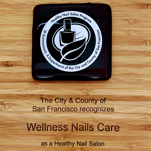 Wellness Nails Care logo