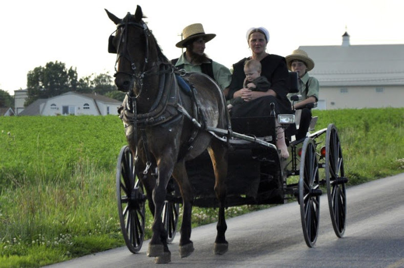 Lancaster - Amish - COSTA ESTE  DE EEUU - OTRO VIAJE INOLVIDABLE (En construcción) (6)