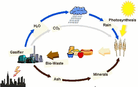 What Is Biomass