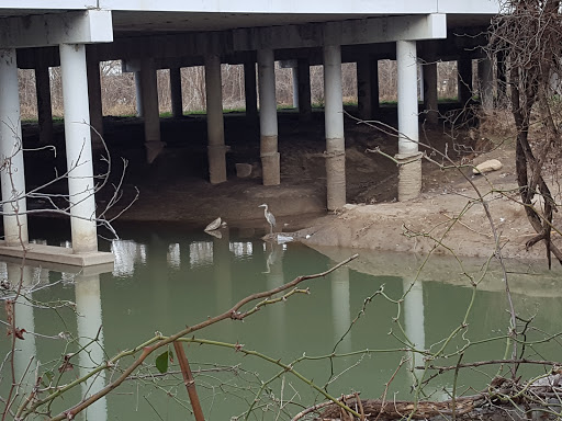 Nature Preserve «Rowlett Creek Preserve», reviews and photos, 2525 Castle Dr, Garland, TX 75040, USA