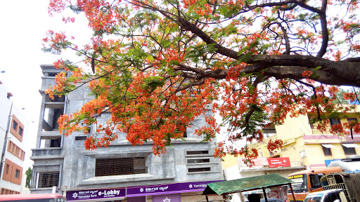 Karnataka Bank, Bangarpet Road, Gowripete, Kolar, Karnataka 563101, India, Bank, state KA