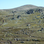 Mt Kosciuszko from from the Mt Kosciuszko Lookout (271748)