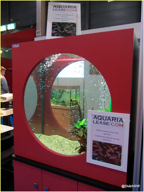 Transparantie in Zorg: aquariumglas