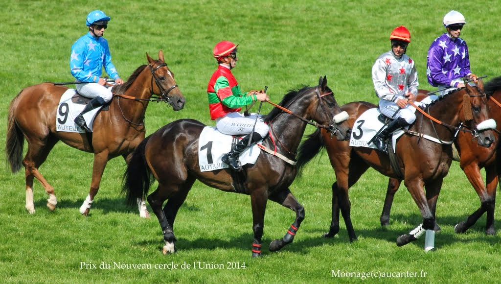 Photos Auteuil 8-06-2014  - Page 2 IMG_1951