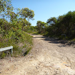 Int of Tunnel Track and Mt Wondabyne trail (380354)