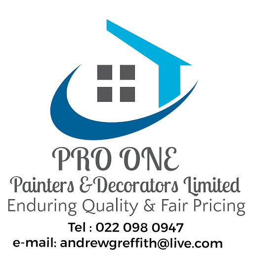 Pro One Painters and Decorators Limited logo