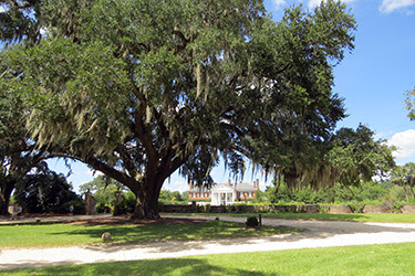 Asheville-Boone Plantation-Charleston - Costa este de EEUU: 3250 millas de Boston a los Cayos de Florida (5)