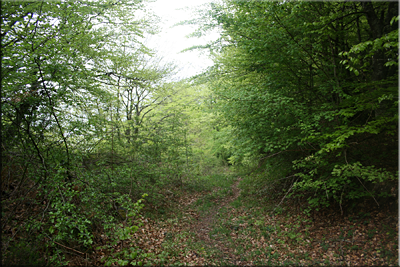 Marcado sendero