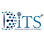 DITS – Remote Custom Software and Web Application Development Company