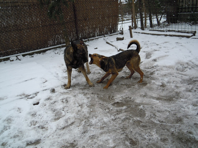 DSCN1655.JPG