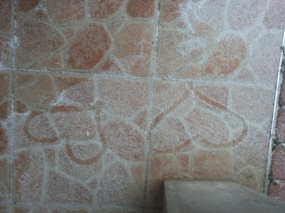 Photos of Hotel San