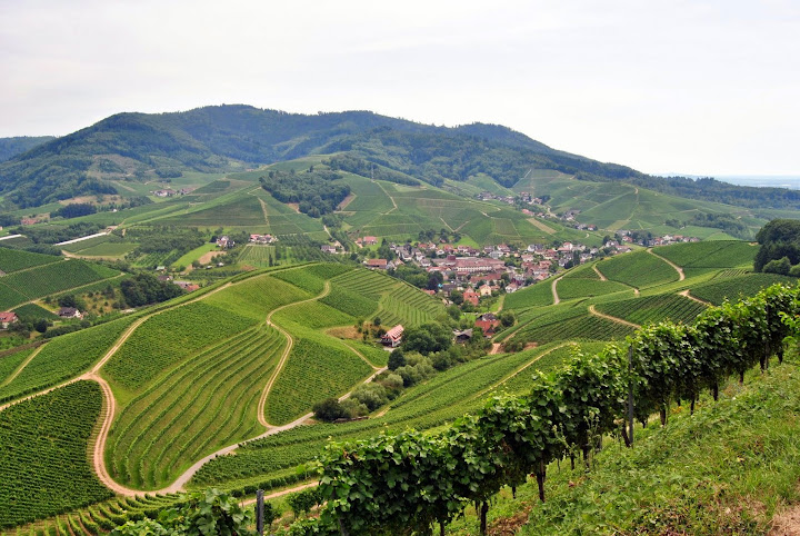 Badischer Weinstrasse (Ruta del Vino de Baden) - Alsacia, Selva Negra y Suiza. (5)