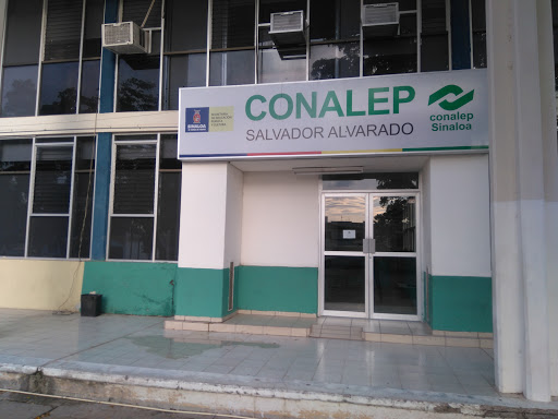 CONALEP, 81460, Bulevard Antonio Rosales SN-C ANTOJITOS LA RAMADA, Morelos, Guamúchil, Sin., México, Escuela preparatoria | SIN