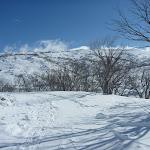 Walking down along the wide trail (299164)