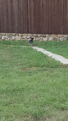 Dog Park «Freedom Dog Park», reviews and photos, 2675 Trophy Park Dr, Roanoke, TX 76262, USA