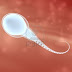 Menelan Sperma