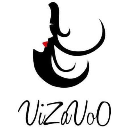 Vizavoo Salon - Color, Highlights, Blowouts, and Brazilian Blowouts logo