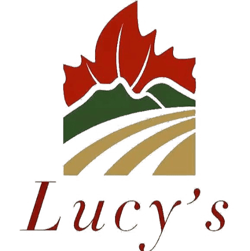 Lucy's Gift & Healthy Food Inc.