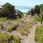 Track south of Bournda Beach (106585)