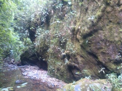 Photos of North Yungas Road