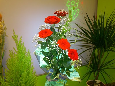 Photos of Tsvetochnyy Magazin "Faina"