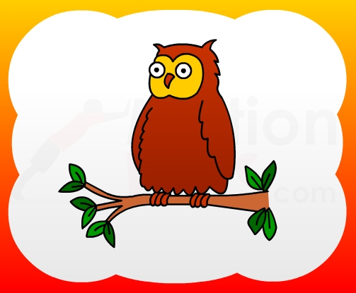 How to draw Owl  for kids
