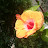 Norehan Mustapha avatar image