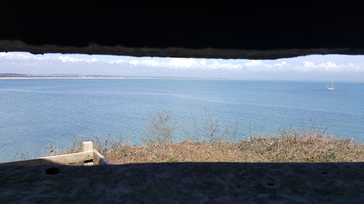 Fort Henry