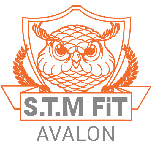 STM FiT : Bootcamps & 24/7 Gym logo